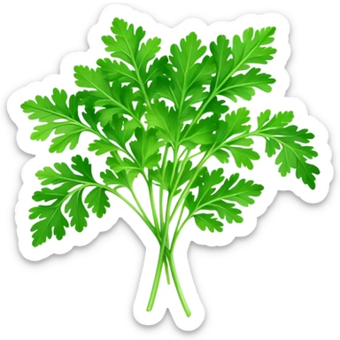 Cinematic Realistic Parsley Emoji, Fresh and vibrant, with bright green, frilly leaves that seem to shimmer with vitality. The plant exudes a sense of healthy growth and aromatic zest, inviting both beauty and flavor into any dish. Soft glowing outline, capturing the essence of freshness, health, and culinary delight in a sprig of parsley! sticker