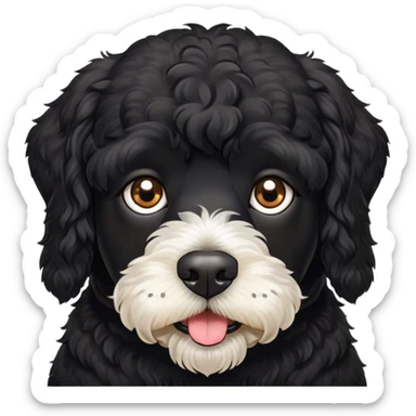 Black Portuguese water dog, mischievous face sticker