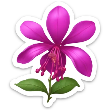 Fuchsia sticker