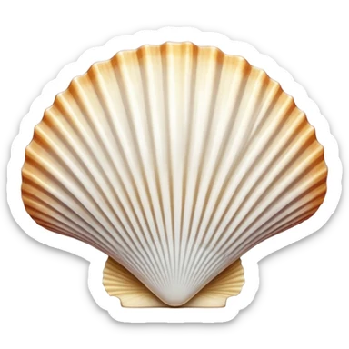 conchiglia di Santiago sticker