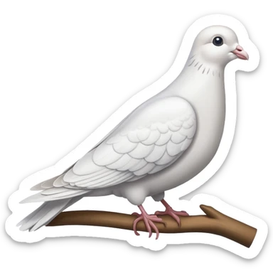 dove sitting sticker