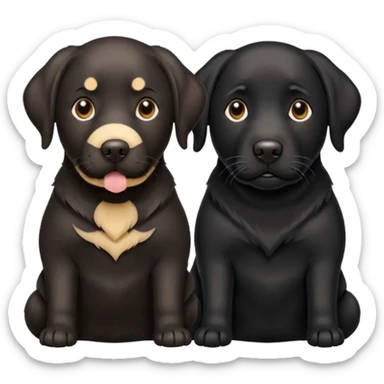 2 black Labrador retrievers one of them is 1 years old the other is 9 years old  sticker