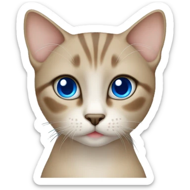 Dark Brown face - beige body thai female cat with blue eyes  sticker
