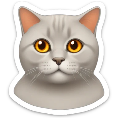 A sitting red british shorthair cat with orange eyes sticker
