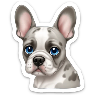 merle frenchie with one blue eye sticker