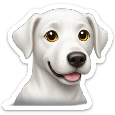 White dog bishon sticker