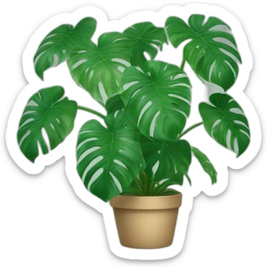 Monstera plant taking a photo sticker