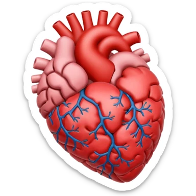 Brain and heart sticker