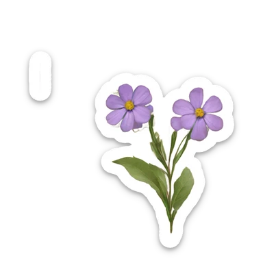 book with some pressed flowers on the pages  sticker