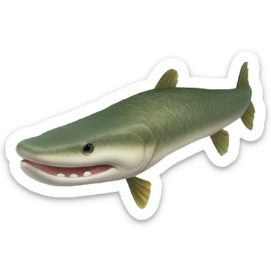 Longnose Gar sticker