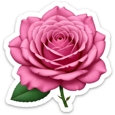 “A Polaroid-style photo of a pink rose  sticker