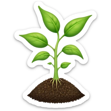 young shoot emerging from a seed sticker