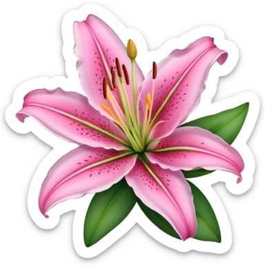 Pink lily  sticker