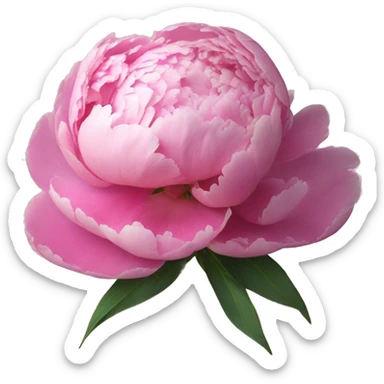 peonies ￼ sticker