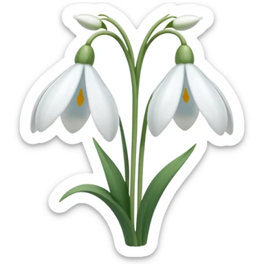 Snowdrops sticker