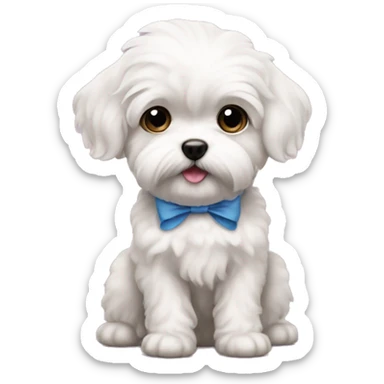 Schichon puppy bow  sticker