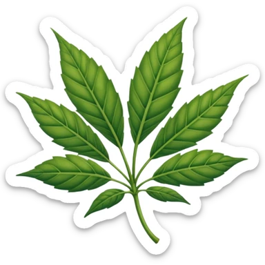 Hoja de mariguana Hoja de mariguana sticker