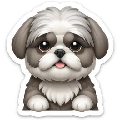 cute all grey shih tzu BEHIND A WINDOW WITH BLINDS AND PEEKING THROUGHT THE SLATS BEHIND THE WINDOW sticker