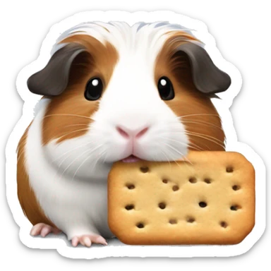 Guinea pig with a biscuit  sticker
