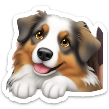 Australian Shepard  on girls lap sticker