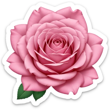 “A Polaroid photo of a pink rose  sticker