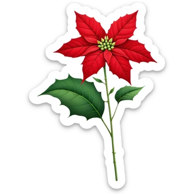 single Poinsettia flower, stem sticker