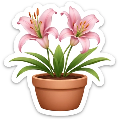 light pink lily flowers in a clay pot sticker