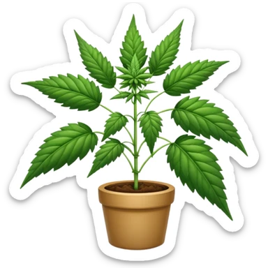 Cannabis sticker