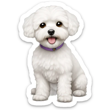 White maltipoo sticker