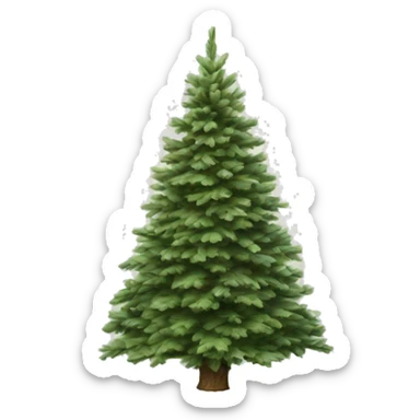 Realistic isolated off white fir christmas tree   sticker