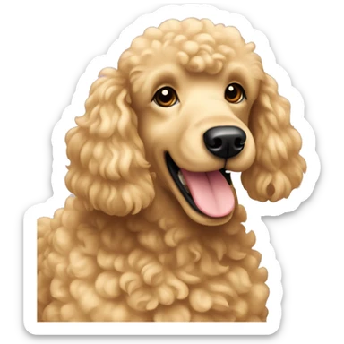 Golden poodle with slide hai sticker