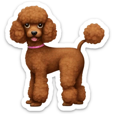 Brown poodle sticker
