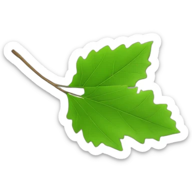 5 feuille d’érable japonais verte sticker