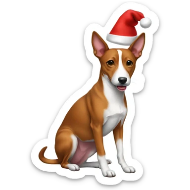 Basenji wearing a Christmas hat sticker