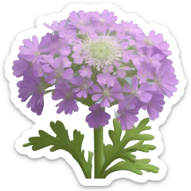 scabiosa flower sticker
