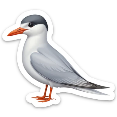 Common tern sticker