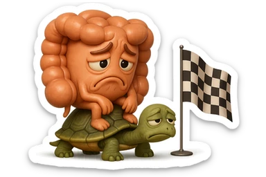  EMOJI STILE IPHONE 3D DI UN INTESTINO CON ESPRESSIONE ANGOSCIATA CHE CAMMINA SEDUTO IN GROPPA SUL GUSCIO DI UNA TARTARUGA IN ATTESA ESTENUANTE DI RAGGIUNGERE UN TRAGUARDO POCO PIù AVANTI, SULLA LORO DESTRA. IL TRAGUARDO è UNA BANDIERA A DUE PIEDI CON FASCIA A SCACCHI BIANCHI E NERI. iperrealistico 4k sticker