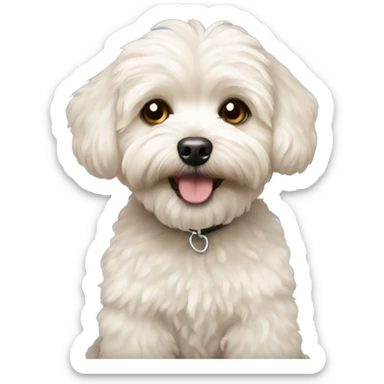 Maltipoo  sticker