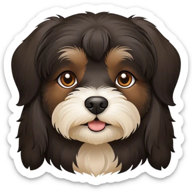 black Havanese dog face with brown eyes sticker