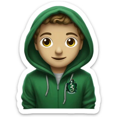 Slytherin hoodie  sticker