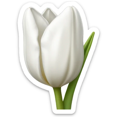 white tulip sticker