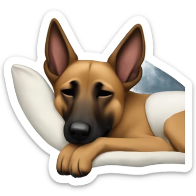 Belgian malinois is sleeping sticker