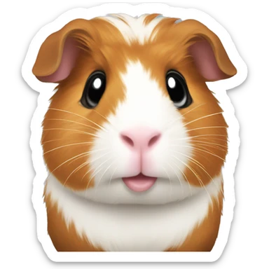 GUINEA PIG sticker