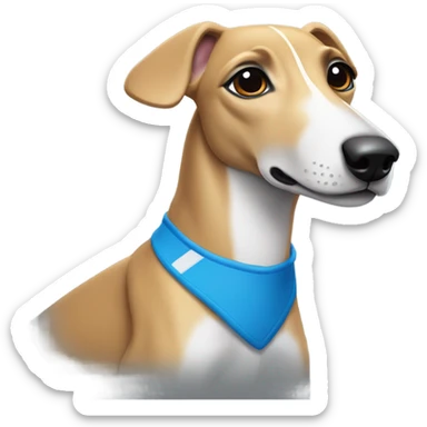 Whippet with racing bib sticker