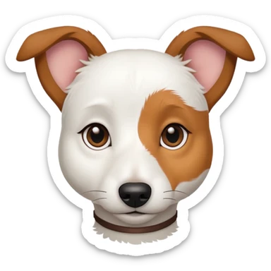 a fully white jack russell the size of a kelpie with light brown ears and a light brown patch on one eye sticker