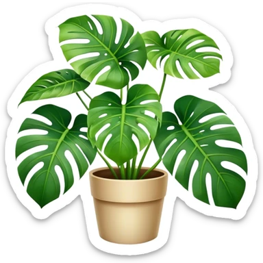 Monstera plant sticker