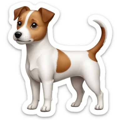 Jack Russell Terrier dog sticker