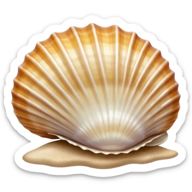A seashell resting in shallow water on sandy seabed.


























































 sticker