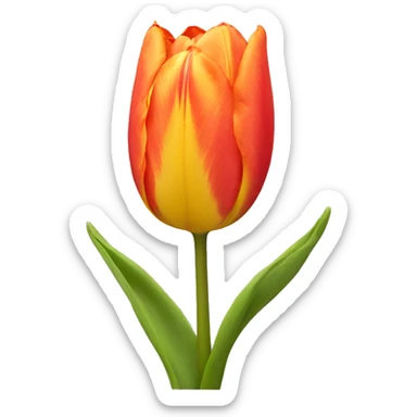 Tulip sticker