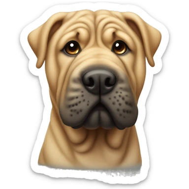 Shar pei dog sticker